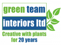 Green Team Interiors